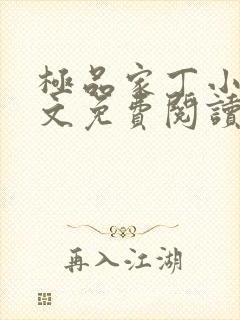 极品家丁小说全文免费阅读