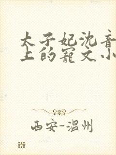 太子妃沈音和皇上的宠文小说