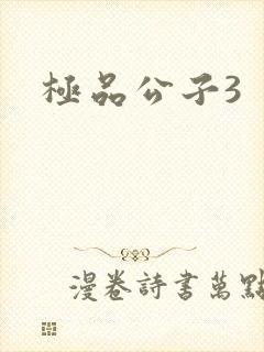 极品公子3