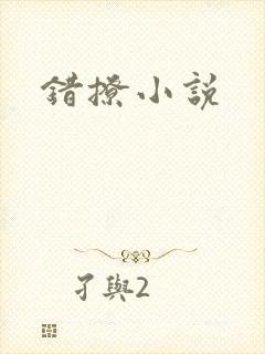 错撩小说封面