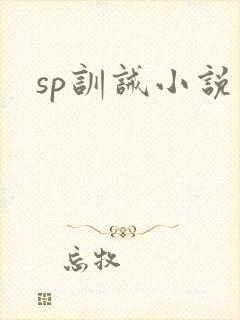 sp训诫小说封面