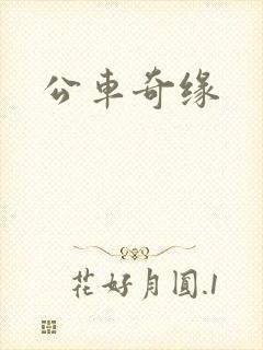 公车奇缘