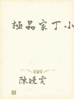 极品家丁小说