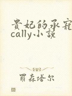 贵妃的承宠日常cally小说