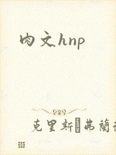 肉文hnp