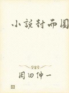 小说封面图