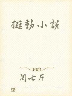 挺动小说