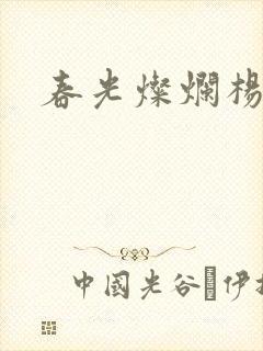 春光灿烂杨家将封面