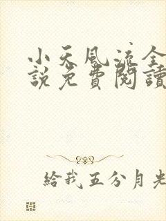 小天风流全集小说免费阅读封面