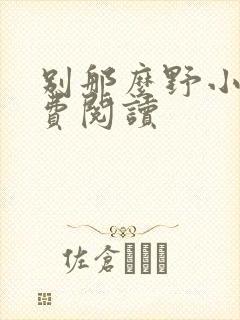 别那么野小说免费阅读封面