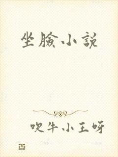 坐脸小说