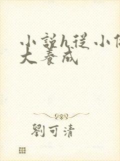 小说h从小做到大养成封面