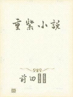重紫小说