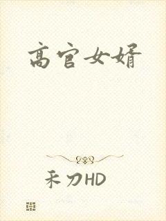 高官女婿