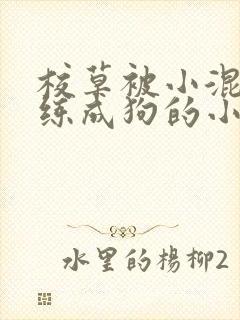 校草被小混混训练成狗的小说