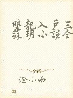 双龙入户三人行苏玥小说全文阅读封面
