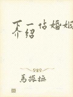 下一站婚姻剧情介绍