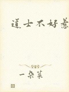 道士不好惹小说