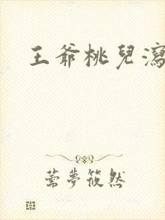 王爷桃儿泻了封面