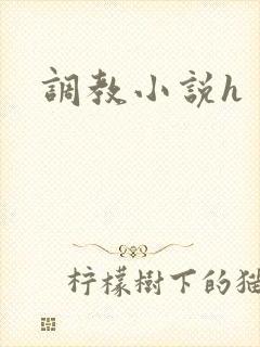 调教小说h