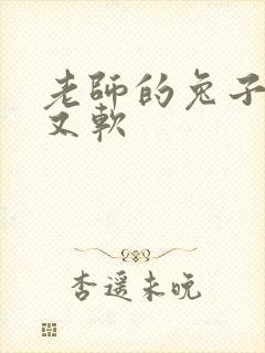 老师的兔子又大又软