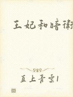 王妃和暗卫野H