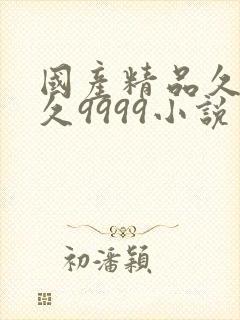 国产精品久久久久9999小说