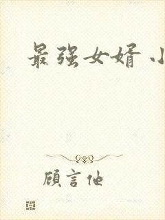 最强女婿 小说