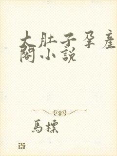 大肚子孕产笔趣阁小说