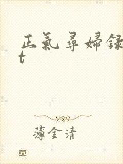 正气寻妇录txt
