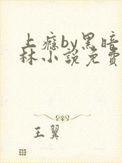 上瘾by黑暗森林小说免费封面