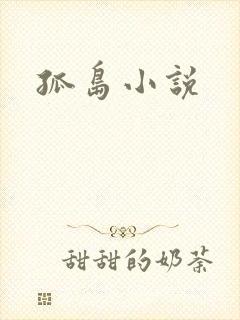 孤岛小说