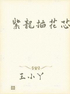紫龙插花芯方正
