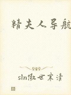 精夫人导航封面