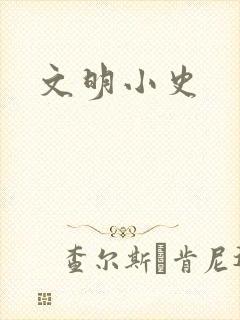 文明小史封面