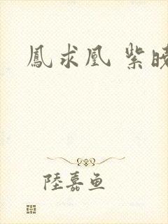 凤求凰 紫晓