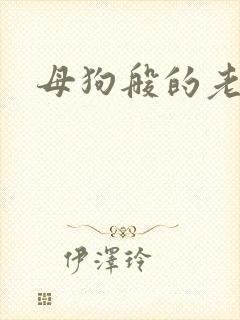 母狗般的老师封面