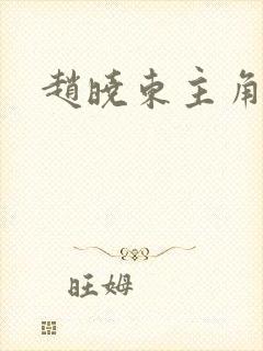 赵晓东主角小说