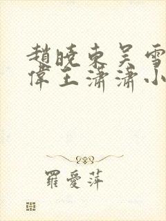 赵晓东吴雪晴郑伟王潇潇小说名字