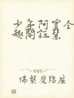少年阿宾全文笔趣阁钰慧封面
