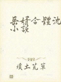 岳婿合体沈绝的小说封面
