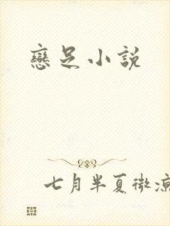 恋足小说封面