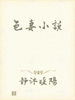 色妻小说封面
