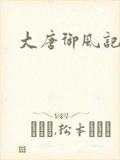 大唐御风记