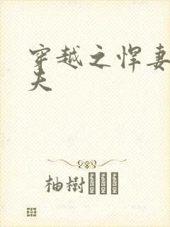 穿越之悍妻共三夫