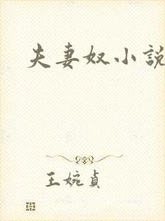 夫妻奴小说封面