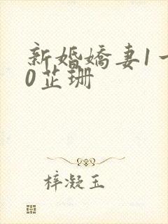 新婚娇妻1一40芷珊封面