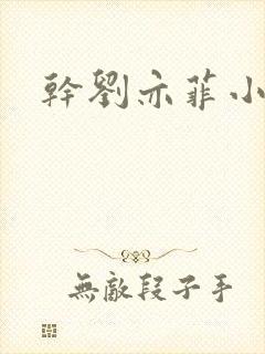 干刘亦菲小说