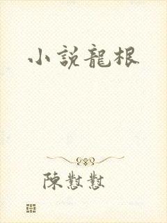 小说龙根