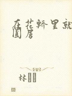 在花轿里就开始圆房封面
